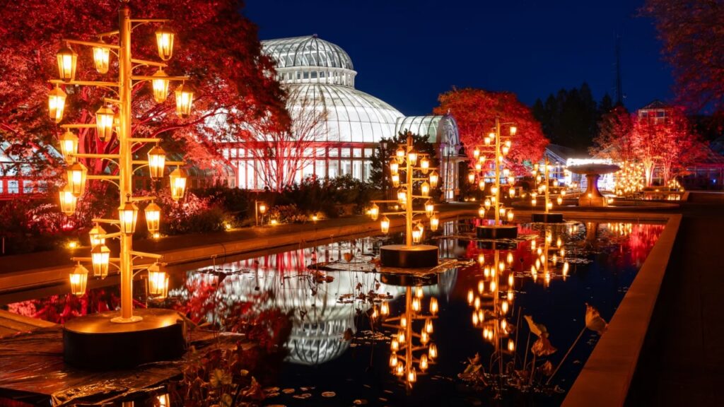 Winter Light Trail at the Botanic Gardens